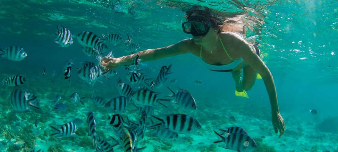 Bucear en la Isla Mauricio