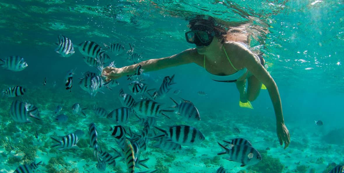 Isla Mauricio | Arenatours