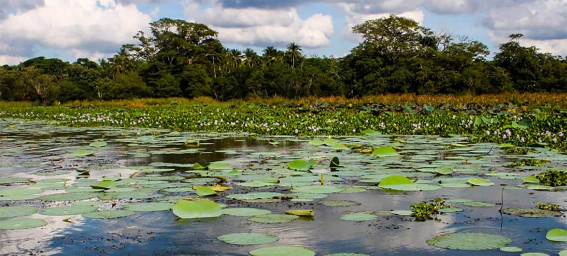 Visita de la aldea Hiriwadunna