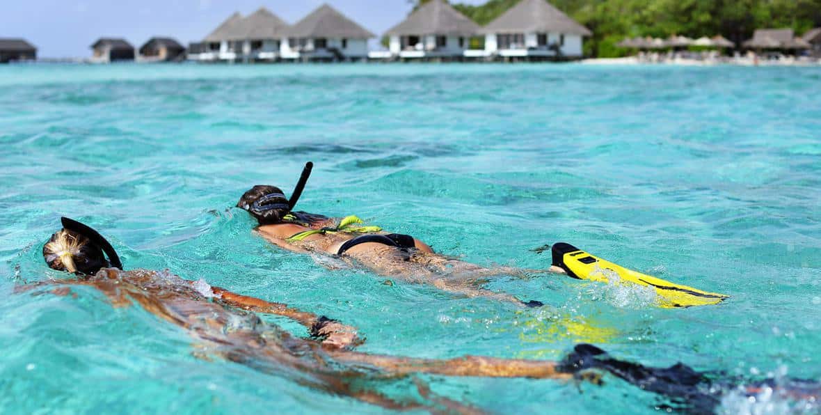 Snorkel