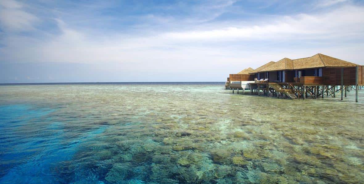 arenatours sunset water suite