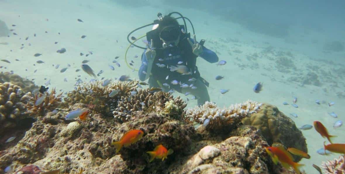 Loama Dive Center Maldivas Arenatours